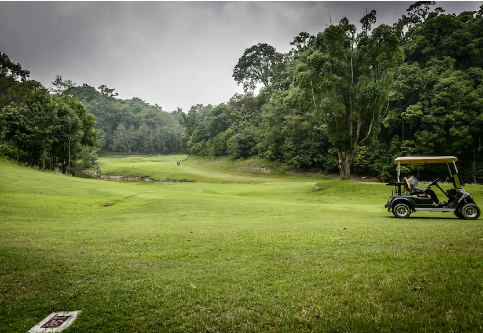 Cart Tour