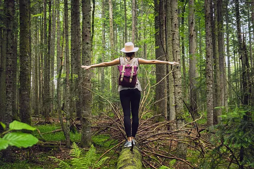 Forest Bathing